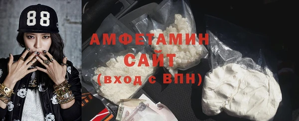 стаф Алзамай