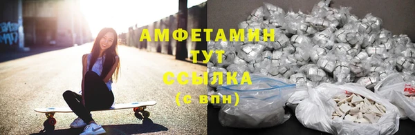 стаф Алзамай