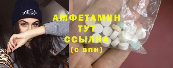 стаф Алзамай
