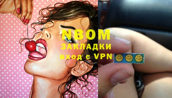 стаф Алзамай