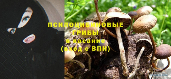 mdpv Алексеевка