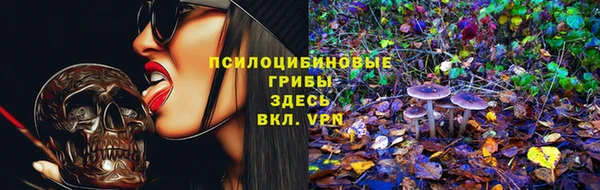 стаф Алзамай
