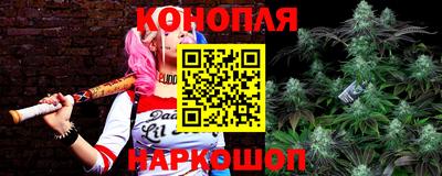 амф Новокубанск