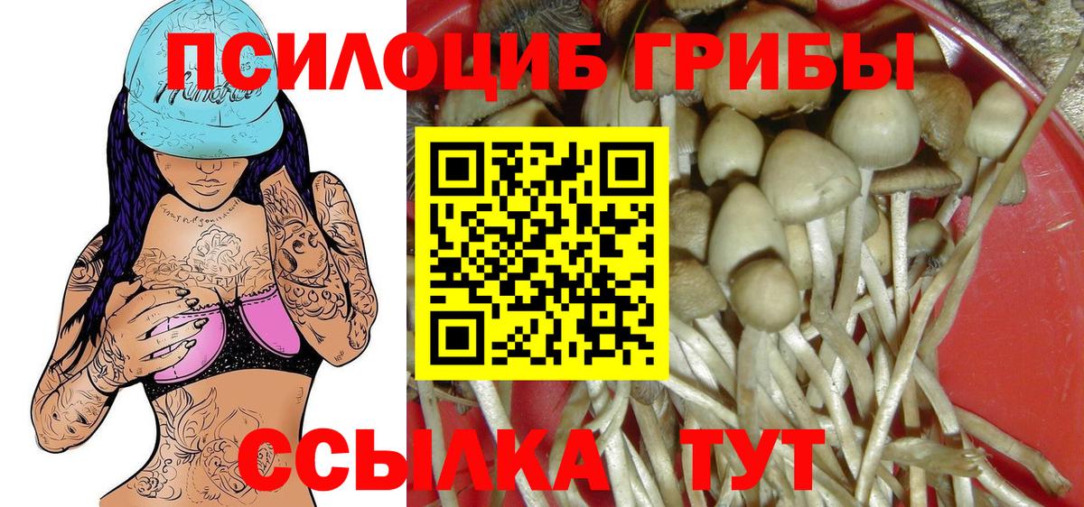 Галлюциногенные грибы MAGIC MUSHROOMS Морозовск